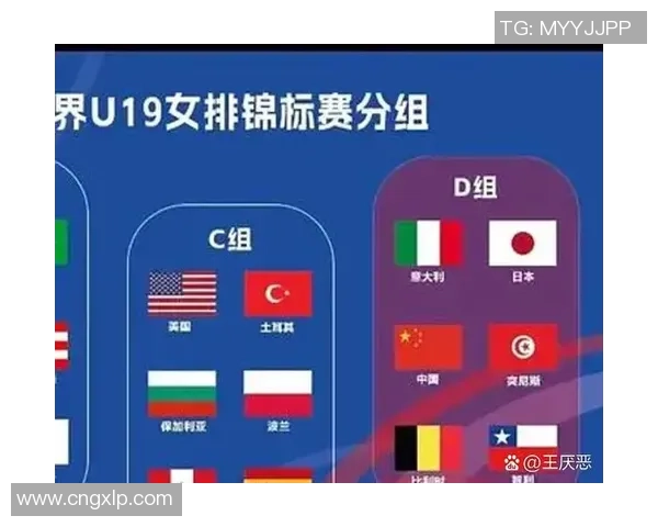 比利时与突尼斯比赛进球数赔率分析及预测
